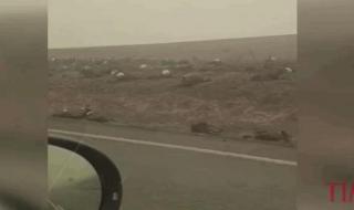 墨尔本鬼步舞面具男 墨尔本鬼步舞面具男